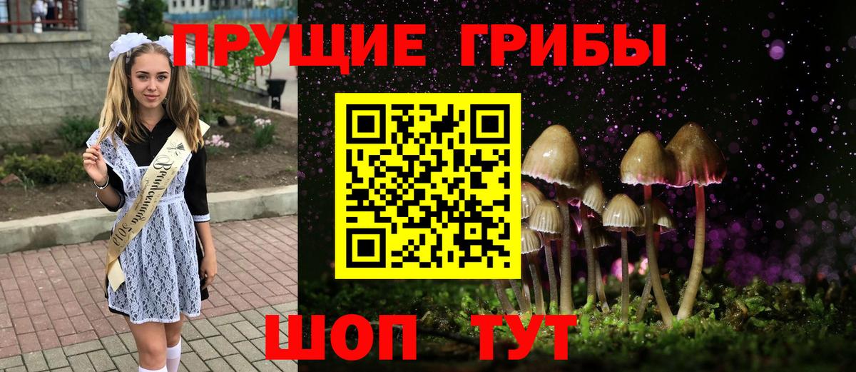 Псилоцибиновые грибы Psilocybine cubensis  что такое   Муравленко  Вход с VPN 